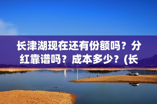 长津湖现在还有份额吗？分红靠谱吗？成本多少？(长津湖现在什么样)