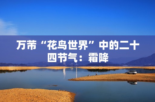 万芾“花鸟世界”中的二十四节气：霜降