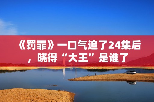 《罚罪》一口气追了24集后，晓得“大王”是谁了