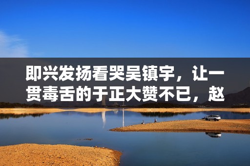 即兴发扬看哭吴镇宇，让一贯毒舌的于正大赞不已，赵露思演技多强