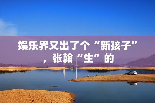 娱乐界又出了个“新孩子”，张翰“生”的