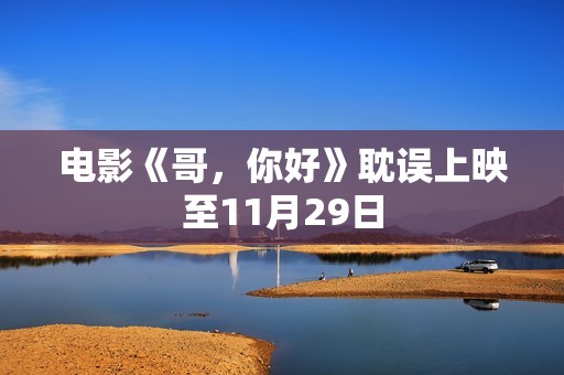 电影《哥，你好》耽误上映至11月29日