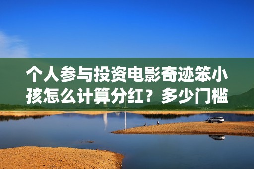 个人参与投资电影奇迹笨小孩怎么计算分红？多少门槛起投？(个人投资者参与)