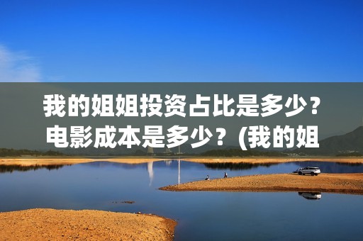 我的姐姐投资占比是多少？电影成本是多少？(我的姐姐投资成本一共多少)