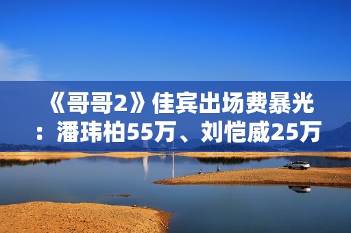 《哥哥2》佳宾出场费暴光：潘玮柏55万、刘恺威25万、郑钧仅9万
