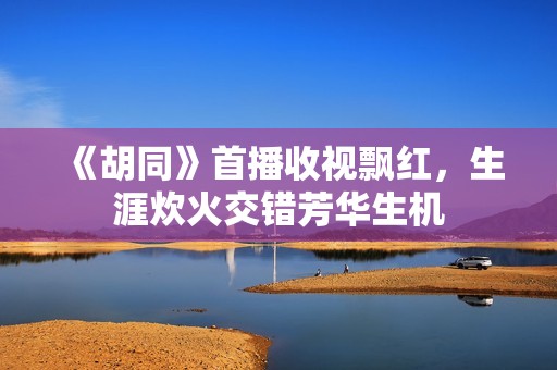 《胡同》首播收视飘红，生涯炊火交错芳华生机