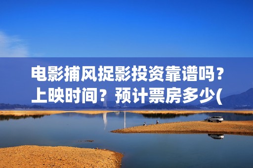 电影捕风捉影投资靠谱吗？上映时间？预计票房多少(捕风捉影电影出品方)