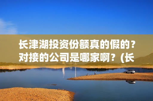 长津湖投资份额真的假的？对接的公司是哪家啊？(长津湖投资额度)