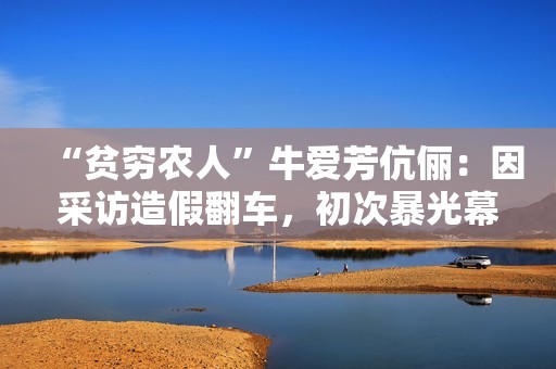 “贫穷农人”牛爱芳伉俪：因采访造假翻车，初次暴光幕后团队