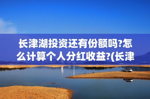 长津湖投资还有份额吗?怎么计算个人分红收益?(长津湖最大投资方)