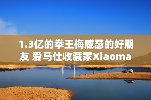 1.3亿的拳王梅威瑟的好朋友 爱马仕收藏家Xiaoma