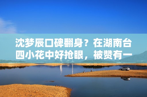 沈梦辰口碑翻身？在湖南台四小花中好抢眼，被赞有一姐风仪