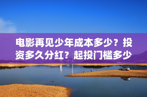 电影再见少年成本多少？投资多久分红？起投门槛多少？(再见少年是什么电影)