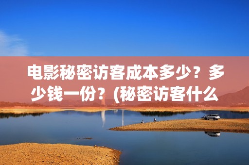 电影秘密访客成本多少？多少钱一份？(秘密访客什么电影)