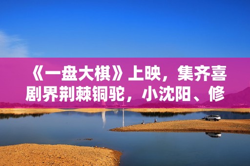 《一盘大棋》上映，集齐喜剧界荆棘铜驼，小沈阳、修睿演郭涛儿子