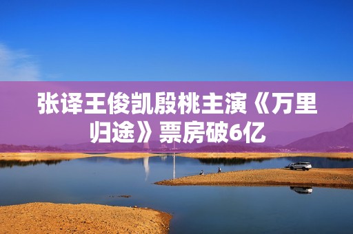 张译王俊凯殷桃主演《万里归途》票房破6亿