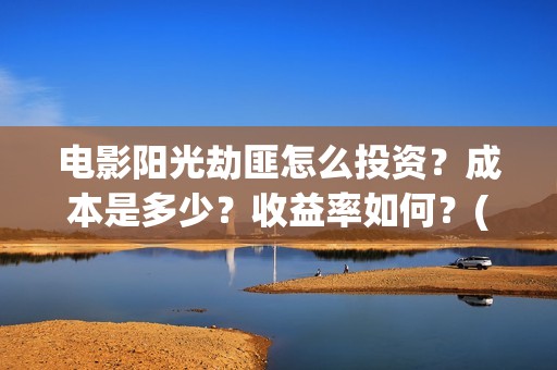 电影阳光劫匪怎么投资？成本是多少？收益率如何？(电影阳光劫匪最后看不懂)