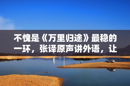 不愧是《万里归途》最稳的一环，张译原声讲外语，让专业人士汗颜