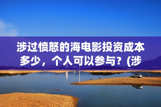 涉过愤怒的海电影投资成本多少，个人可以参与？(涉过愤怒的海电影男主是去哪个国家)