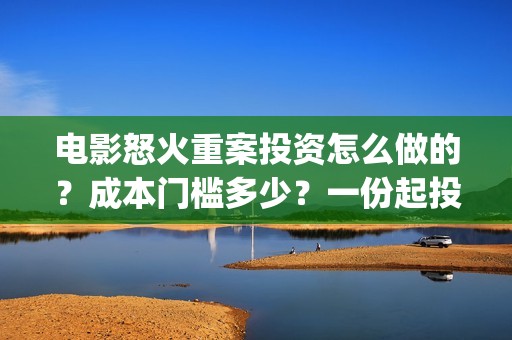 电影怒火重案投资怎么做的？成本门槛多少？一份起投多少钱？(电影 怒火重案)