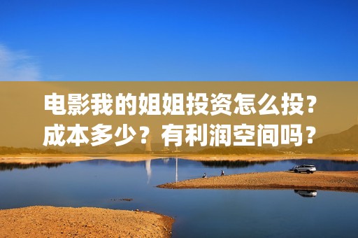 电影我的姐姐投资怎么投？成本多少？有利润空间吗？(电影我的姐姐口碑)