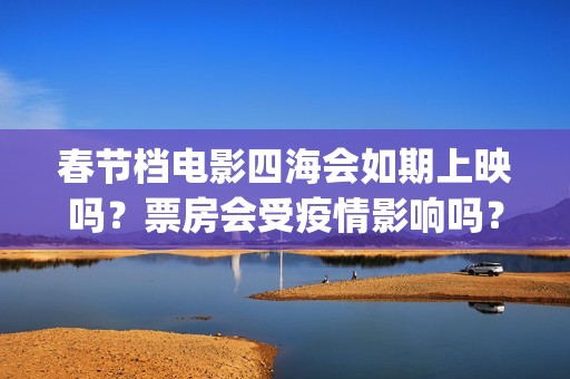 春节档电影四海会如期上映吗？票房会受疫情影响吗？投资怎么参与？(电影四海海报)