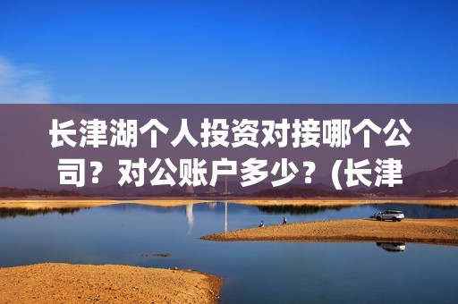 长津湖个人投资对接哪个公司？对公账户多少？(长津湖怎么投资)