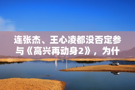 连张杰、王心凌都没否定参与《高兴再动身2》，为什么魏晨焦急否定