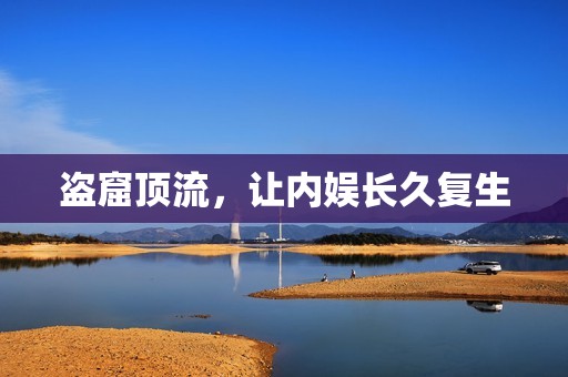 盗窟顶流，让内娱长久复生