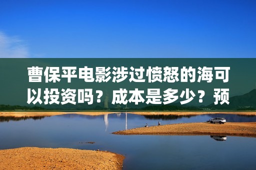 曹保平电影涉过愤怒的海可以投资吗？成本是多少？预估票房？  (曹保平的经典电影)