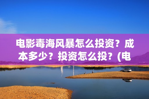 电影毒海风暴怎么投资？成本多少？投资怎么投？(电影《毒海风暴》)