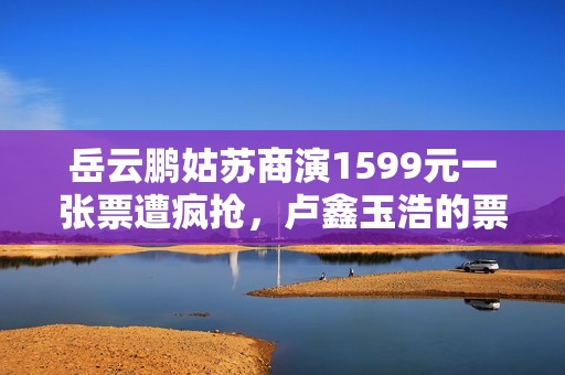 岳云鹏姑苏商演1599元一张票遭疯抢，卢鑫玉浩的票打五折卖不出