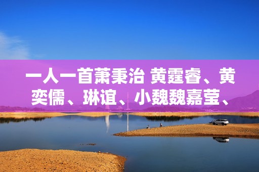 一人一首萧秉治 黄霆睿、黄奕儒、琳谊、小魏魏嘉莹、法兰轮番献唱挺萧秉治