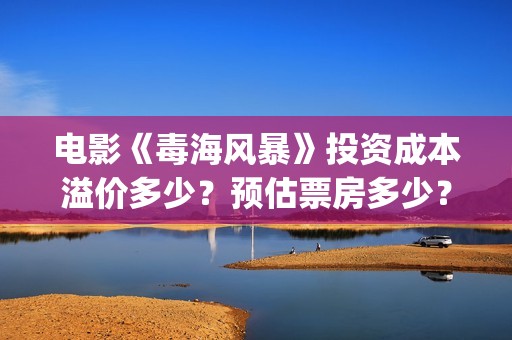 电影《毒海风暴》投资成本溢价多少？预估票房多少？怎么投资? (电影《毒海风暴》在线观看)