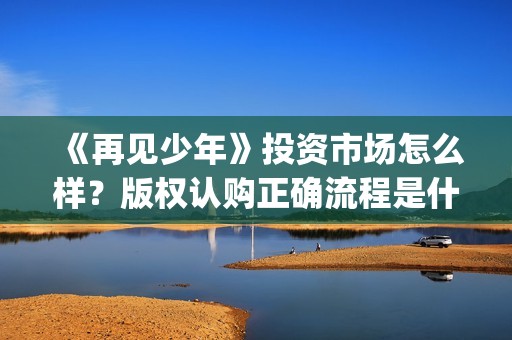 《再见少年》投资市场怎么样？版权认购正确流程是什么？投资成本多少？(再见少年全剧情)