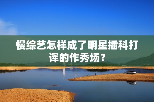 慢综艺怎样成了明星插科打诨的作秀场？