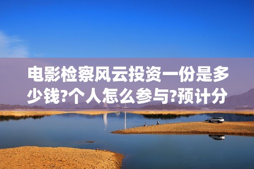 电影检察风云投资一份是多少钱?个人怎么参与?预计分红多少?(《检察风云》)