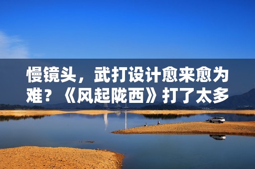 慢镜头，武打设计愈来愈为难？《风起陇西》打了太多人的“脸”