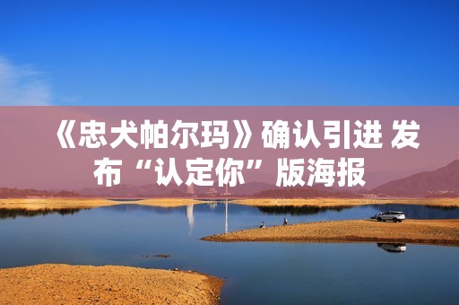 《忠犬帕尔玛》确认引进 发布“认定你”版海报