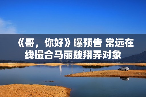 《哥，你好》曝预告 常远在线撮合马丽魏翔弄对象
