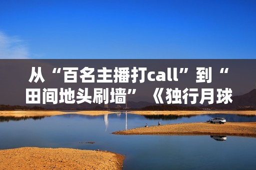 从“百名主播打call”到“田间地头刷墙” 《独行月球》引爆暑期档