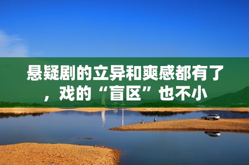 悬疑剧的立异和爽感都有了，戏的“盲区”也不小