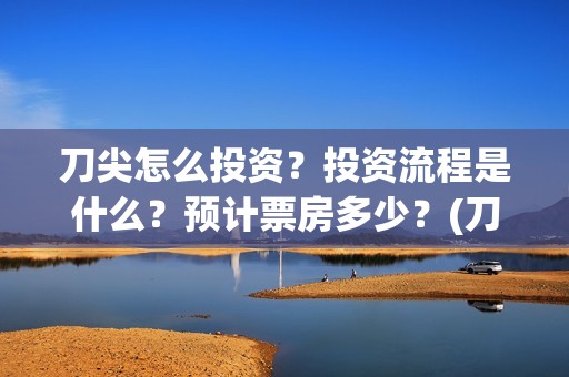刀尖怎么投资？投资流程是什么？预计票房多少？(刀尖成本)