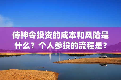侍神令投资的成本和风险是什么？个人参投的流程是？找哪家公司投？(侍神令投资成本)