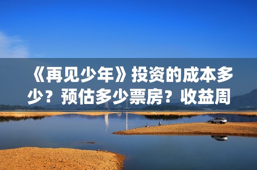 《再见少年》投资的成本多少？预估多少票房？收益周期多久？(再见少年电影出品方)