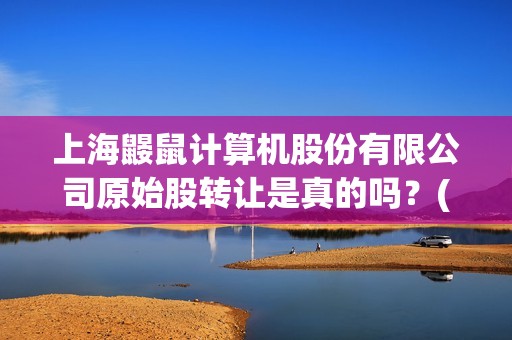 上海鼹鼠计算机股份有限公司原始股转让是真的吗？(上海计算机机构)