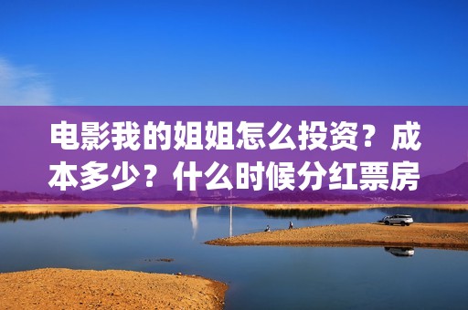 电影我的姐姐怎么投资？成本多少？什么时候分红票房？(我的姐姐标清)