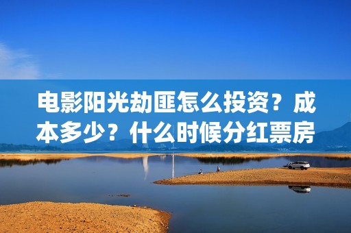 电影阳光劫匪怎么投资？成本多少？什么时候分红票房？(电影阳光劫匪最后看不懂)