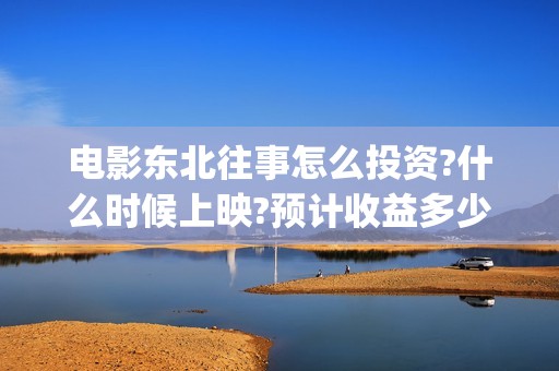 电影东北往事怎么投资?什么时候上映?预计收益多少?(喜剧电影东北往事)