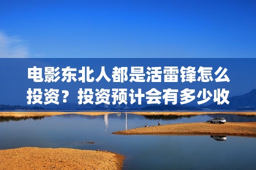 电影东北人都是活雷锋怎么投资？投资预计会有多少收益？(都说东北人)